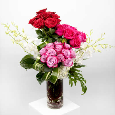 Christine