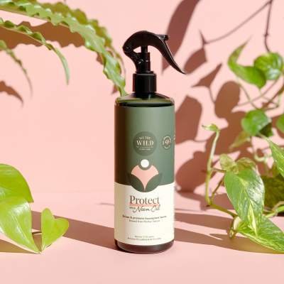 Bottle of plant care spray surrounded by houseplant leaves