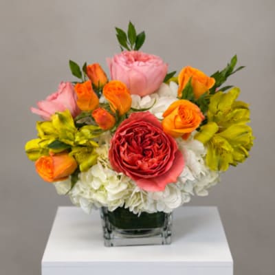 Clementine