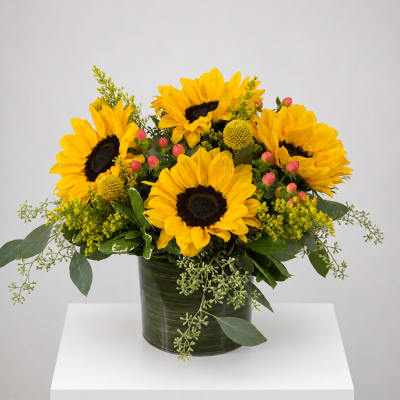 Sunflower arrangement in a dark green cylindrical vase with yellow accents