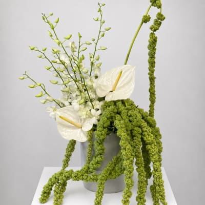 White anthuriums and orchids in a gray vase with cascading green blooms