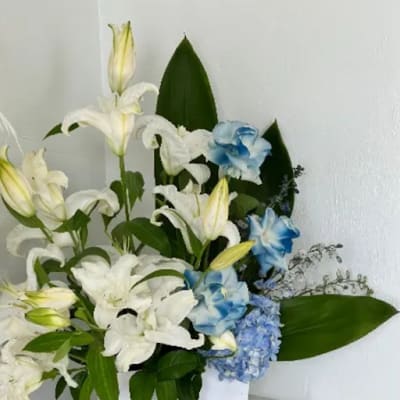 White lilies and blue hydrangeas arranged in a white box
