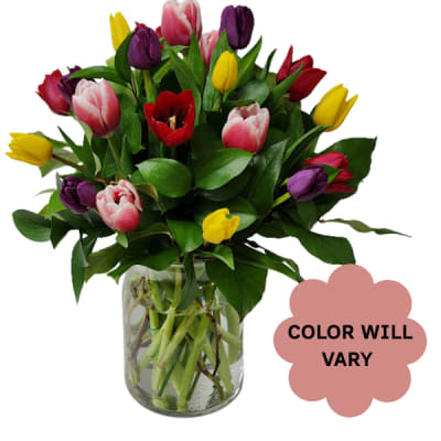 Mixed tulip bouquet in a clear glass vase