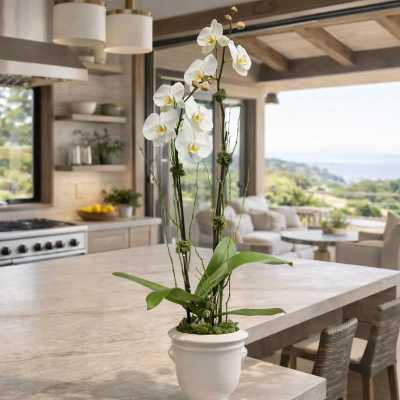 White orchid arrangement in a white pedestal pot on a kitchen island