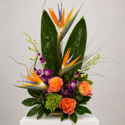 Tropical arrangement with bird of paradise, orange roses, and purple orchids