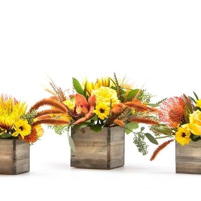 Three floral arrangements in wooden cube vases with yellow and orange blooms