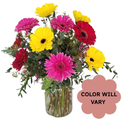 Bright gerbera daisy bouquet in a glass vase with mixed pink, red, and yellow blooms