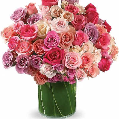 Rose Rapture