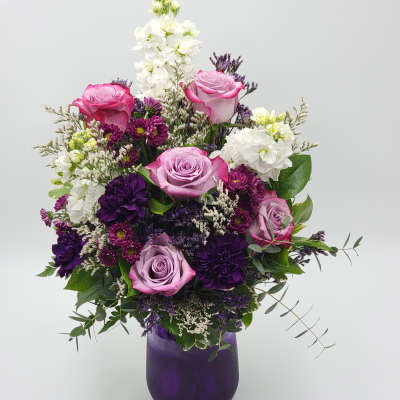 Violet Dream