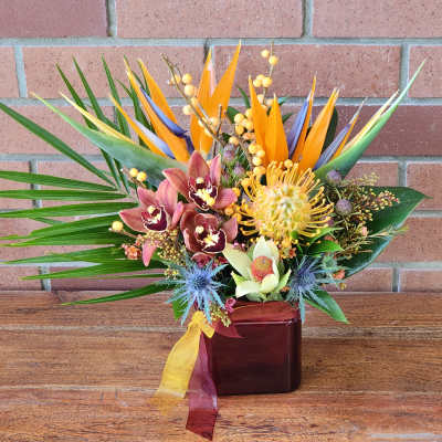 Tropical arrangement with birds of paradise, orchids, and protea in a red glass cube vase with ribbon
