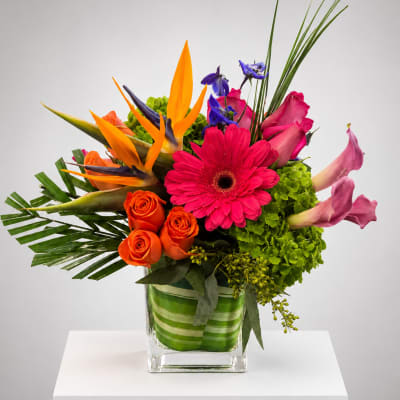 Bright mixed bouquet in a square glass vase with orange, pink, and purple blooms
