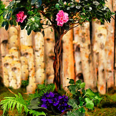 Pink flowering topiary in a planter with purple blooms at the base