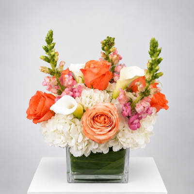 Orange and white floral arrangement in a square glass vase