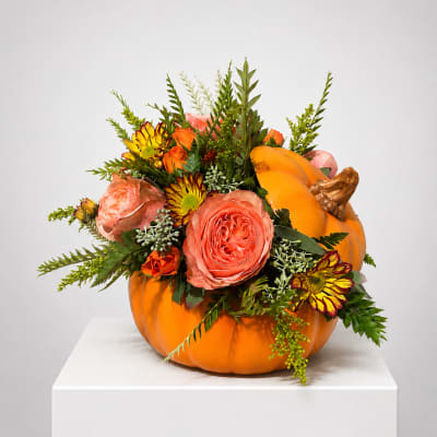 Orange pumpkin filled with pink and yellow flowers