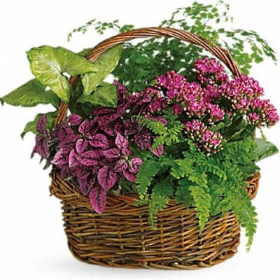 Secret Garden Basket