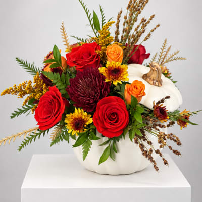 Autumn floral arrangement in a white pumpkin container with red and orange blooms