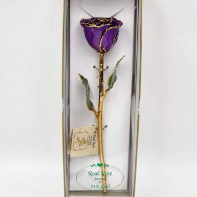 Preserved Purple 24KT Gold Rose