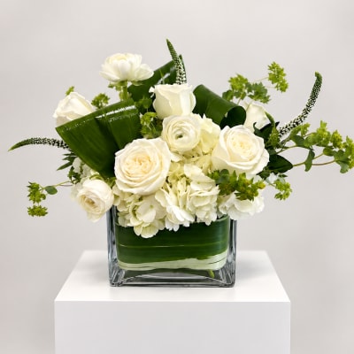 White roses and hydrangeas arranged in a square glass vase