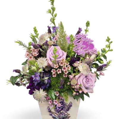 Lavender Dream