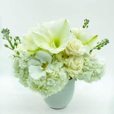 White floral arrangement in a white vase with large blooms