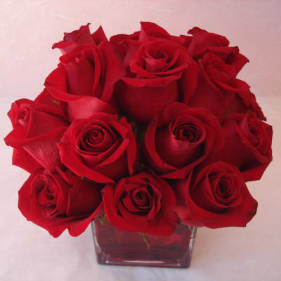 Bouquet of red roses in a square glass vase