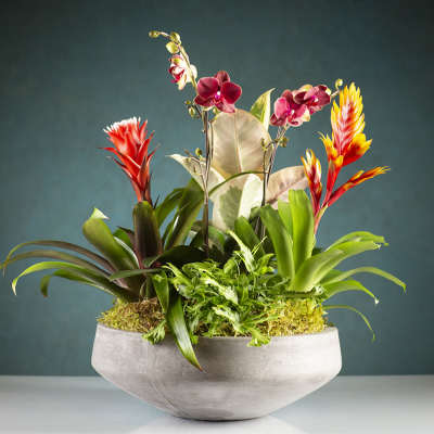 Tropical floral arrangement in a gray bowl vase