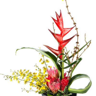 Tropical floral arrangement in a black bowl with red heliconia and yellow orchids