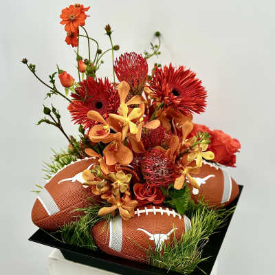 Hook Em Horns