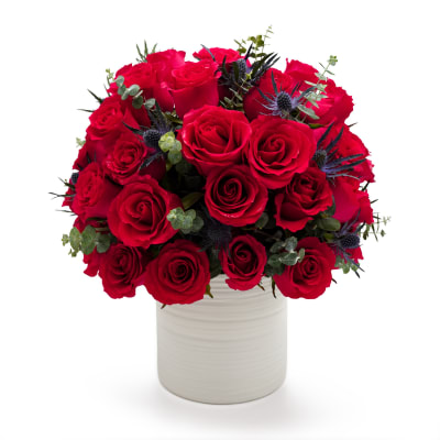 Red roses arranged in a white vase with blue thistle accents