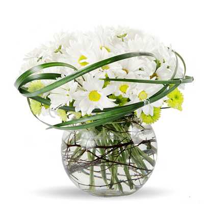 White daisy bouquet in a round glass vase with looping green leaves