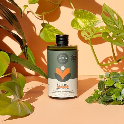 Grow Concentrate for houseplants