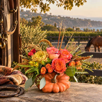 Floral arrangement in a pumpkin container with pink and orange blooms