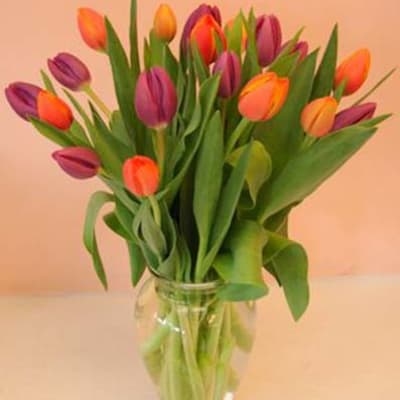 Bouquet of multicolored tulips in a clear glass vase