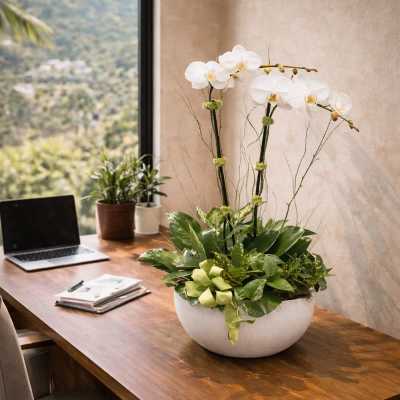White orchids in a white bowl on a wooden desk