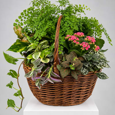 Mixed potted plants and pink flowers in a wicker basket