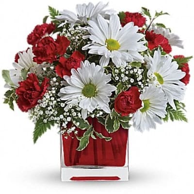 Red And White Delight by Teleflora