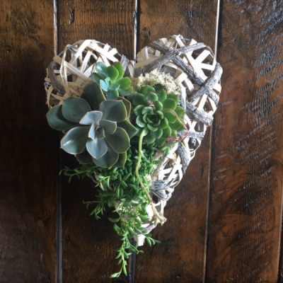 Succulent Heart Garden
