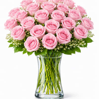 2 Dozen Light Pink Roses