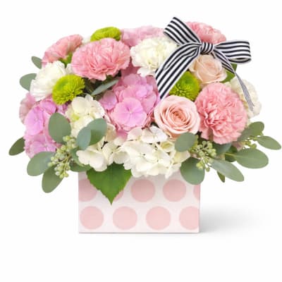 Polka Dots & Stripes Pink