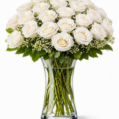 2 Dozen White Roses