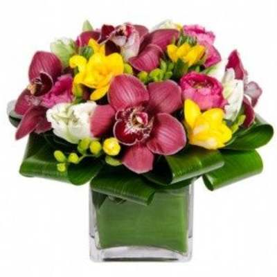 Bouquet of pink, yellow, and white orchids in a square glass vase