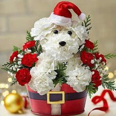 Xmas Doggy