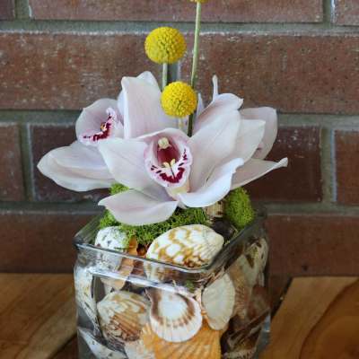 Square glass vase filled with seashells topped with pale orchids and yellow ball flowers