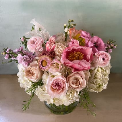 The Paula Peony