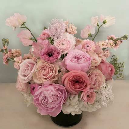 The Paula Peony