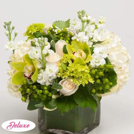 White and green floral arrangement in a square glass vase