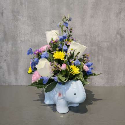 Baby Elephant