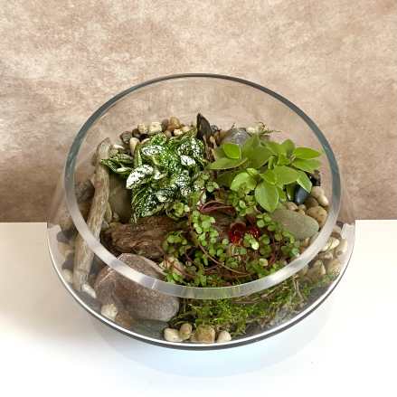 Love Grows Terrarium