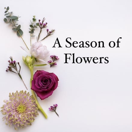 Assorted pink and white flowers on the left of a white background with the text A Season of Flowers.