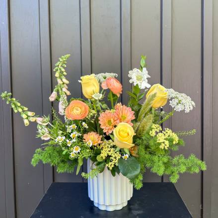 Apricot Dreams